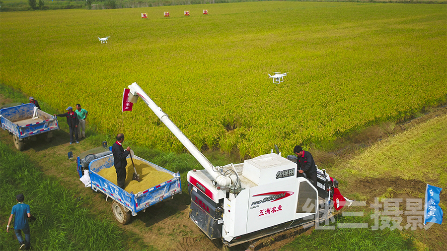 农村土地经营模式改革探讨,深化农村土地改革的政策与策略