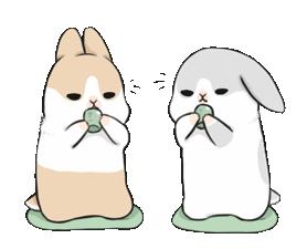 5种茶不建议喝了的原因,哪些茶不能乱喝你了解了吗