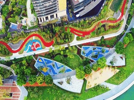 又一人大代表盛赞南山城区，“争着进去，就是好环境”