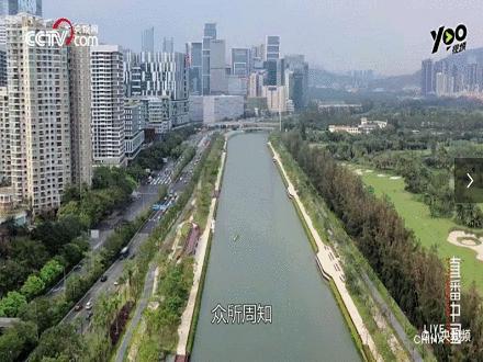 又一人大代表盛赞南山城区，“争着进去，就是好环境”