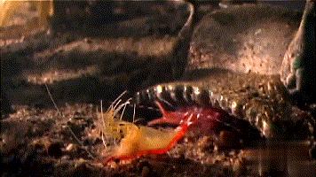 一个气泡的力量有多大 (一个气泡的力量可以有多大)