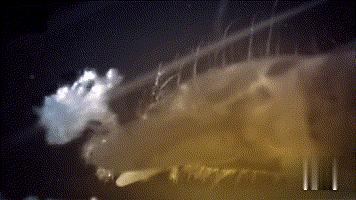 一个气泡的力量有多大 (一个气泡的力量可以有多大)