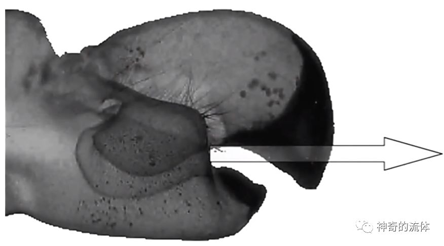 一个气泡的力量有多大 (一个气泡的力量可以有多大)