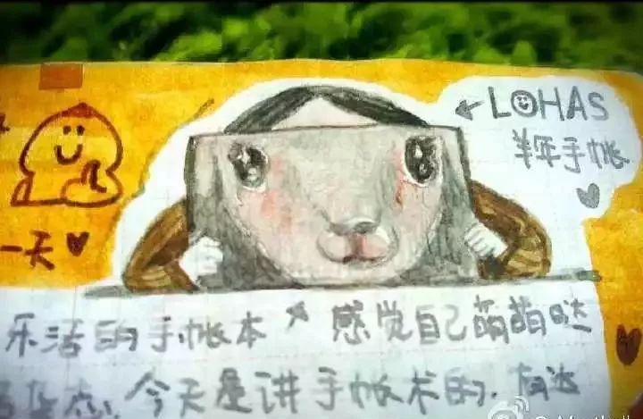 2019年乐活手帐（记事本）免费送，你收到了吗？