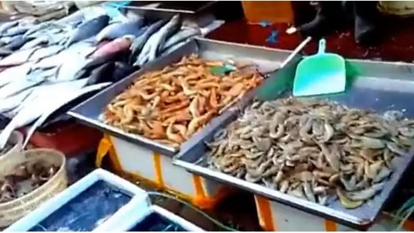 烟台海鲜海蛤多少钱一斤,烟台海鲜市场大虾多少钱一斤