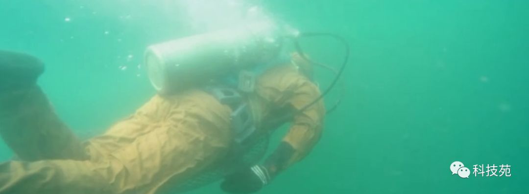 人工养殖海参多少钱一斤,海参几斤鲜品出一斤干品