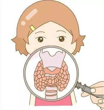 甲状腺及乳腺疾病的手术,乳腺甲状腺手术