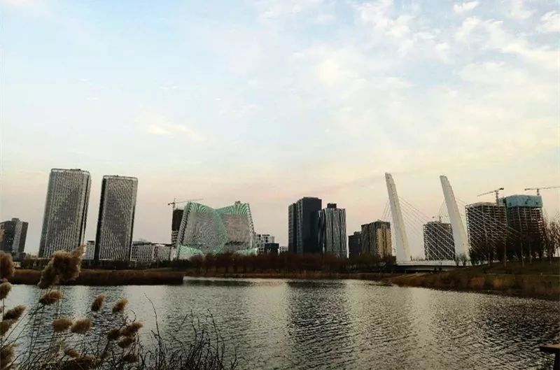 龙子湖大型商业综合体,龙子湖商业中心