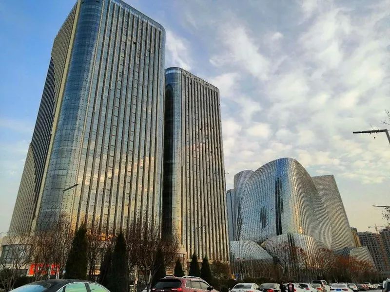 龙子湖大型商业综合体,龙子湖商业中心