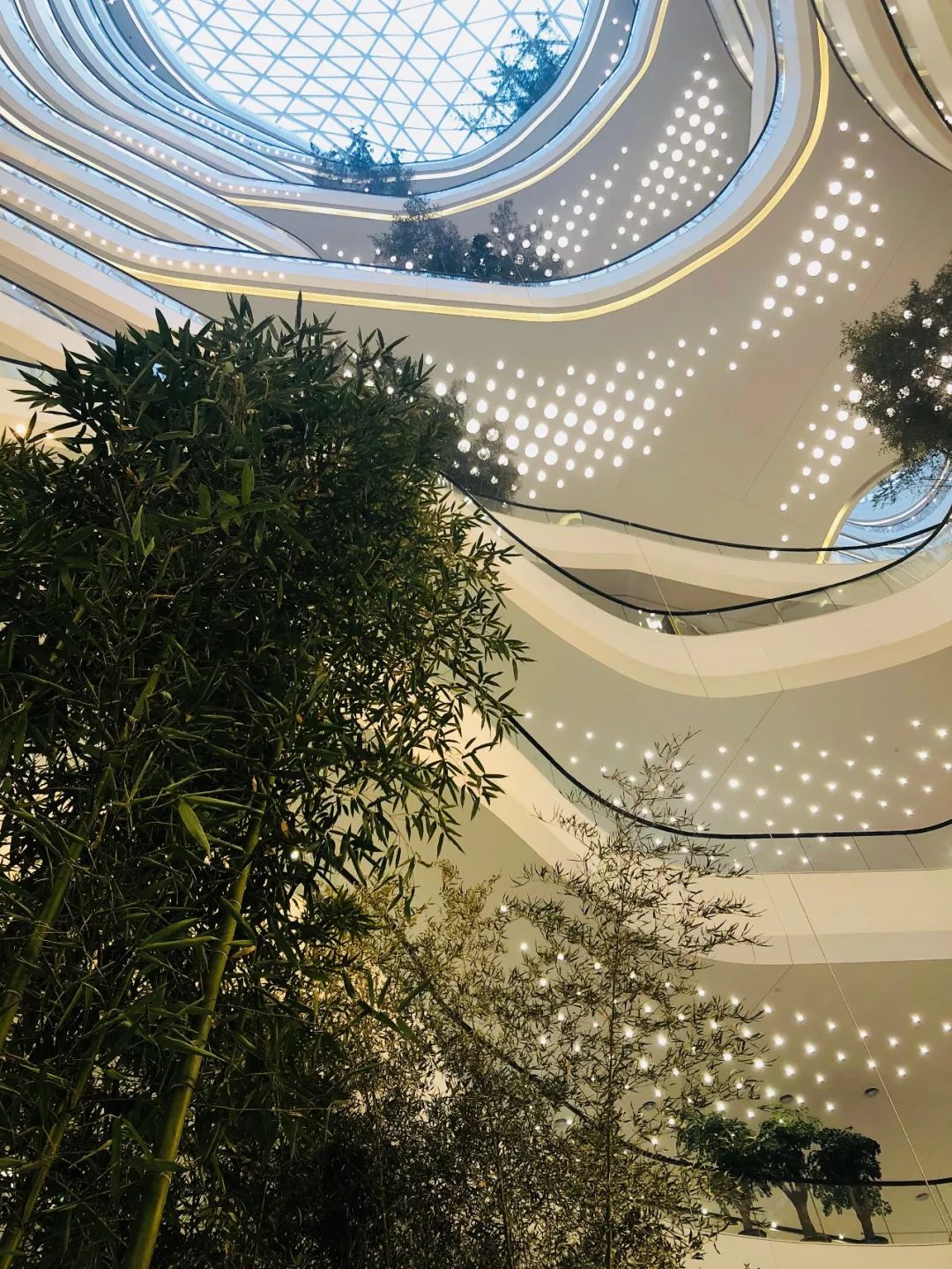 龙子湖大型商业综合体,龙子湖商业中心