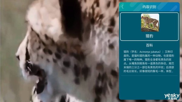 ai功能哪家强,海信电视a65功能介绍