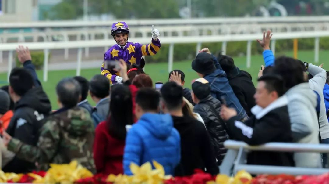 投注额达17.15亿港币,8万余马迷入场观赛!香港元旦赛马日再创新高