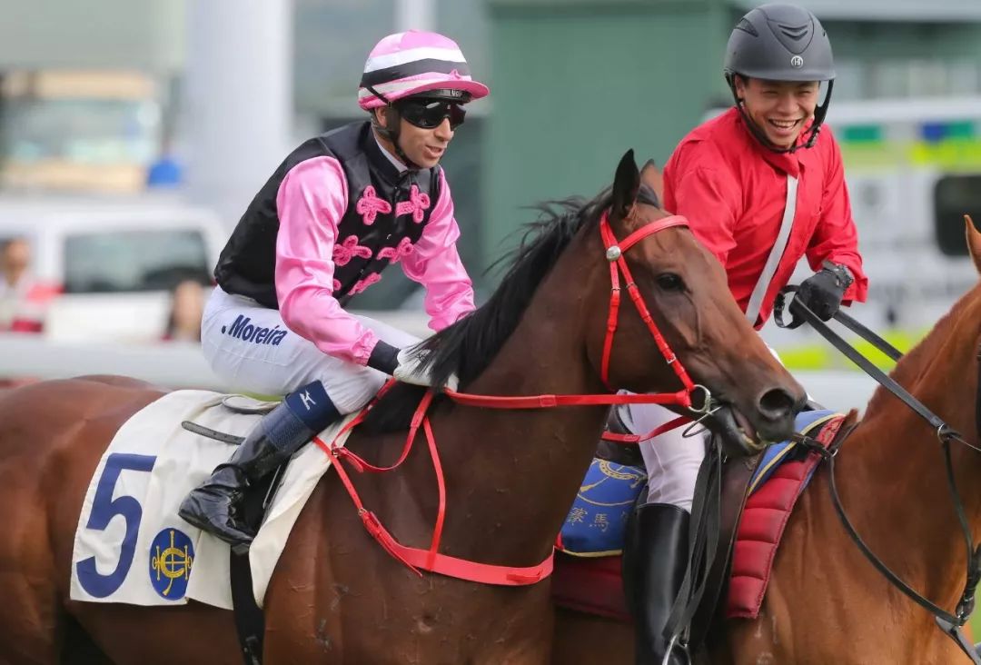 投注额达17.15亿港币,8万余马迷入场观赛!香港元旦赛马日再创新高