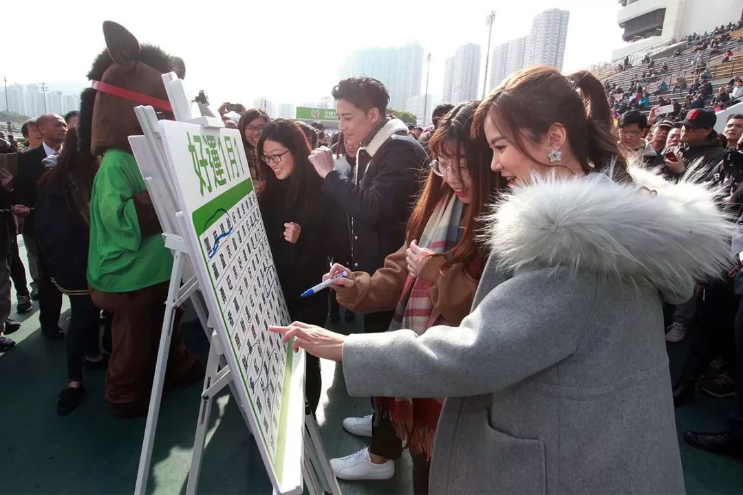 投注额达17.15亿港币，8万余马迷入场观赛！香港元旦赛马日再创新高