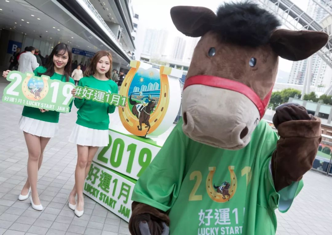 投注额达17.15亿港币，8万余马迷入场观赛！香港元旦赛马日再创新高