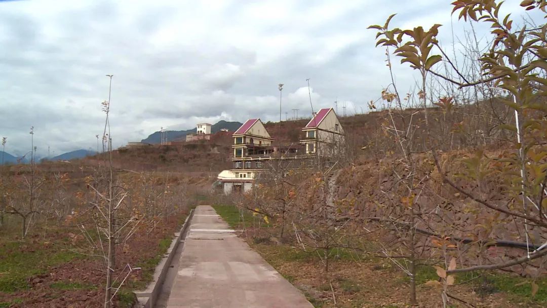 李勇在创业,汉源李勇