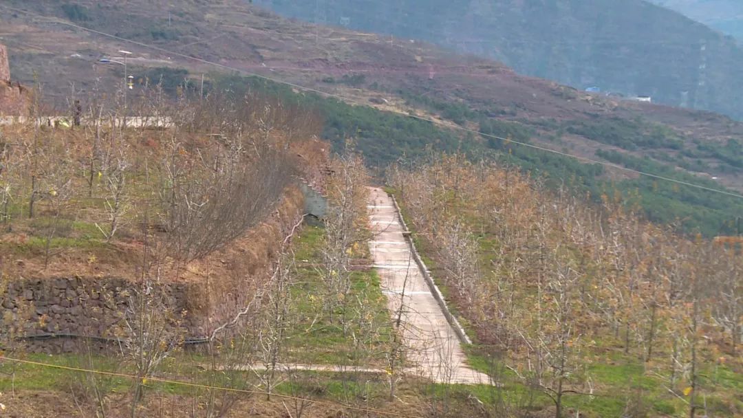 李勇在创业,汉源李勇