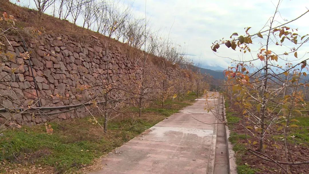 李勇在创业,汉源李勇