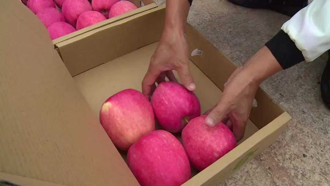 李勇在创业,汉源李勇