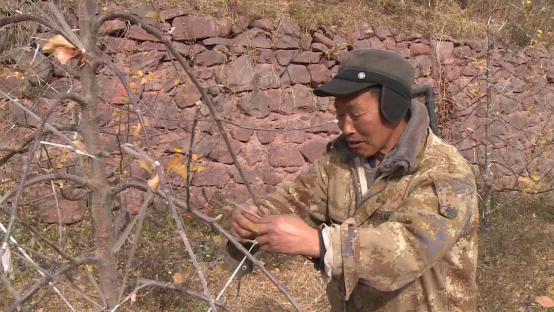 李勇在创业,汉源李勇