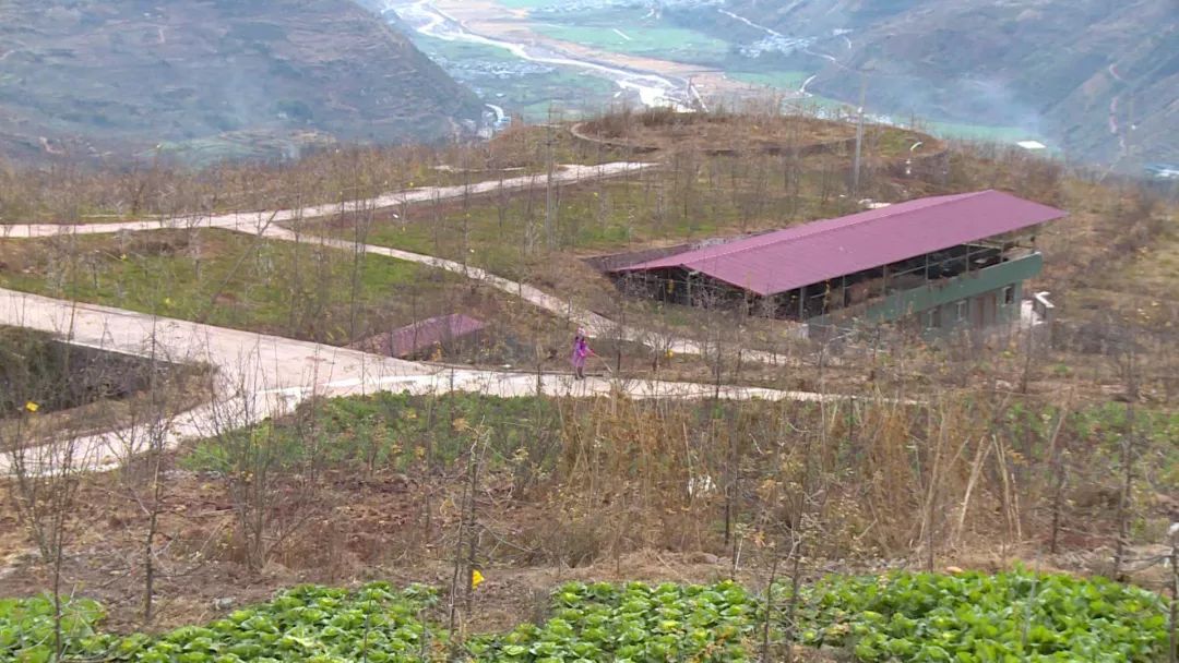 李勇在创业,汉源李勇