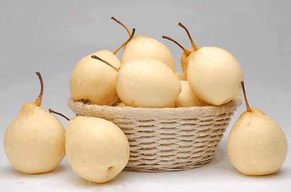 冬吃萝卜夏吃姜美容又养颜,冬吃萝卜夏吃姜指的是什么萝卜