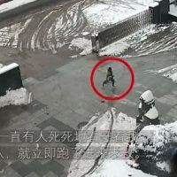 「13早安！九江」男子到九江见女友后直呼救命；永修外国语遭吐槽；“品兔师”年入30万；代购“手绘图”实为营销