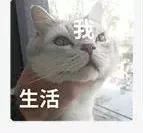 发微信给老爸错发给老板,错把消息发给老板