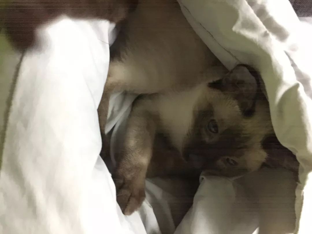 发微信给老爸错发给老板,错把消息发给老板