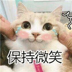 发微信给老爸错发给老板,错把消息发给老板