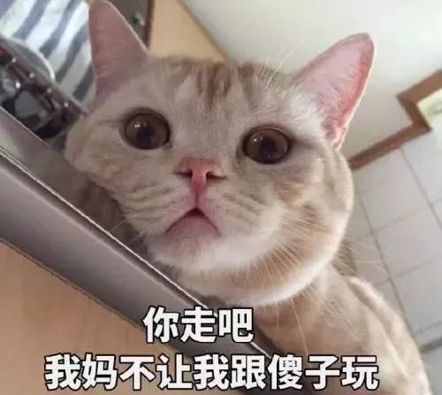 发微信给老爸错发给老板,错把消息发给老板