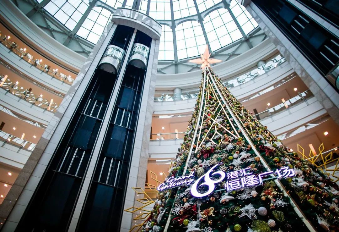 哈罗斯百货和哈罗德百货,哈罗德百货国内