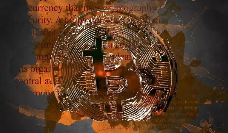 归期未定小说,归期未定的小说