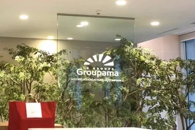 「资讯」中合联公司赴法国访问安盟保险集团工作报告及下一步工作思路建议