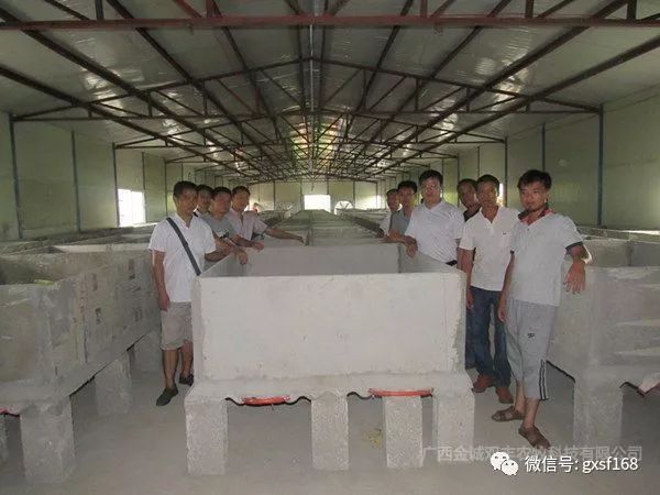 在农村养殖竹鼠有发展前途吗,在家养竹鼠有什么前景