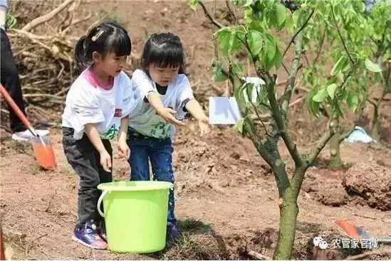 近期农业种植致富新模式,未来农业赚钱新模式