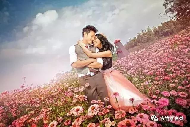 近期农业种植致富新模式,未来农业赚钱新模式