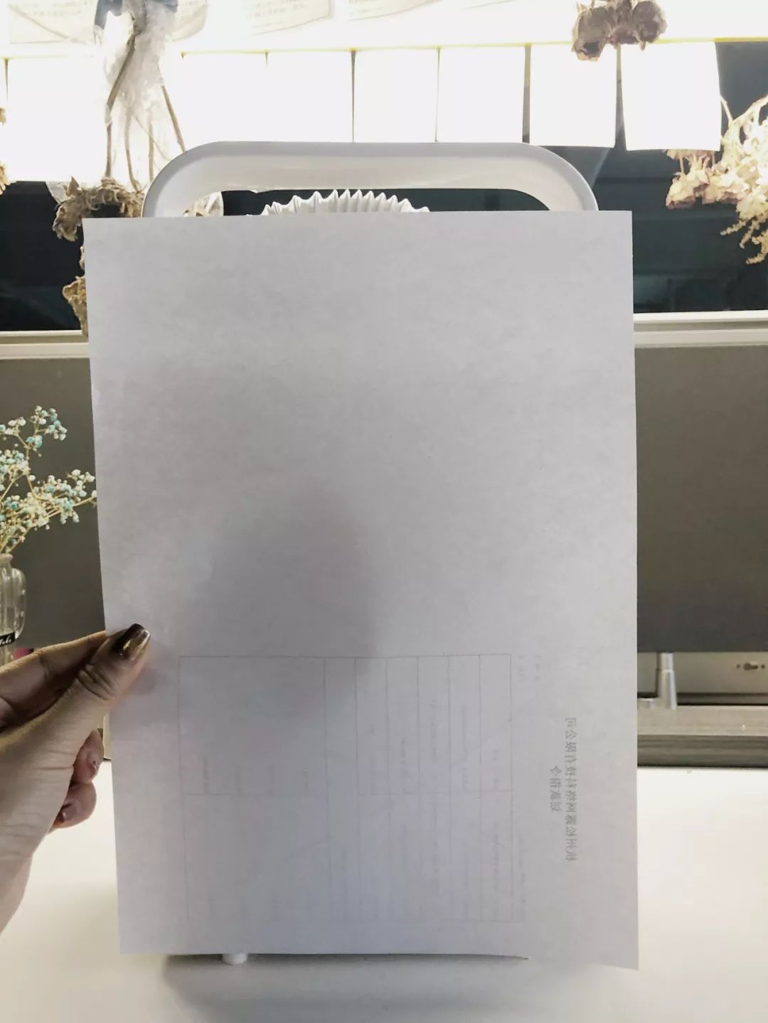 值得买丨多亏有了它,让我心甘情愿做一只单身狗