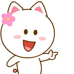 头条|城市颜值增不停!市城管局精细化管理9大亮点出奇效!