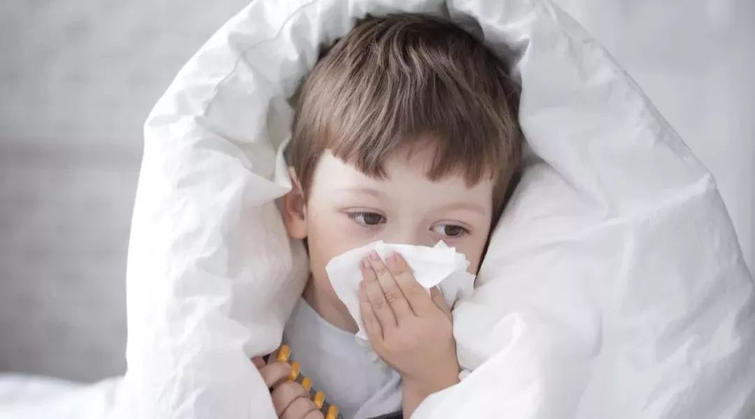 益生菌作用于人体分为几类,益生菌适用于哪些人