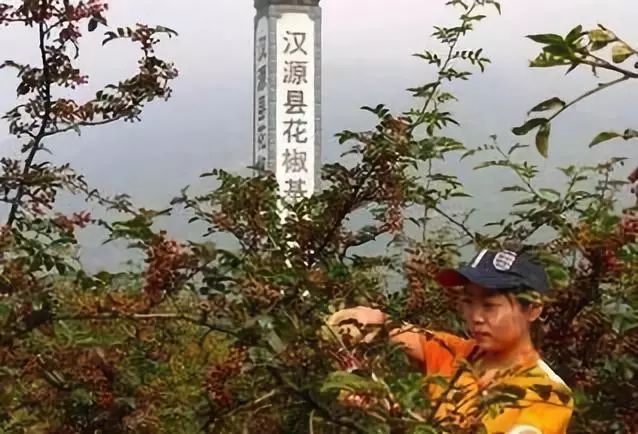 鏂瑰織鍥涘窛浜虹墿浠嬬粛,鏂瑰織鍥涘窛鍘嗗彶鏂囧寲