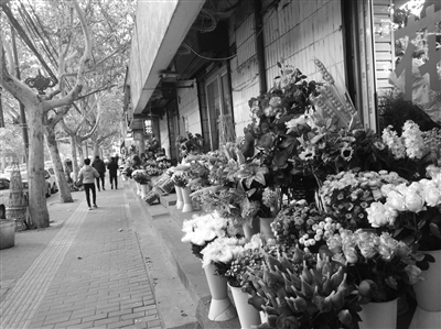 西安花卉零售市场,西安花卉市场调查分析表