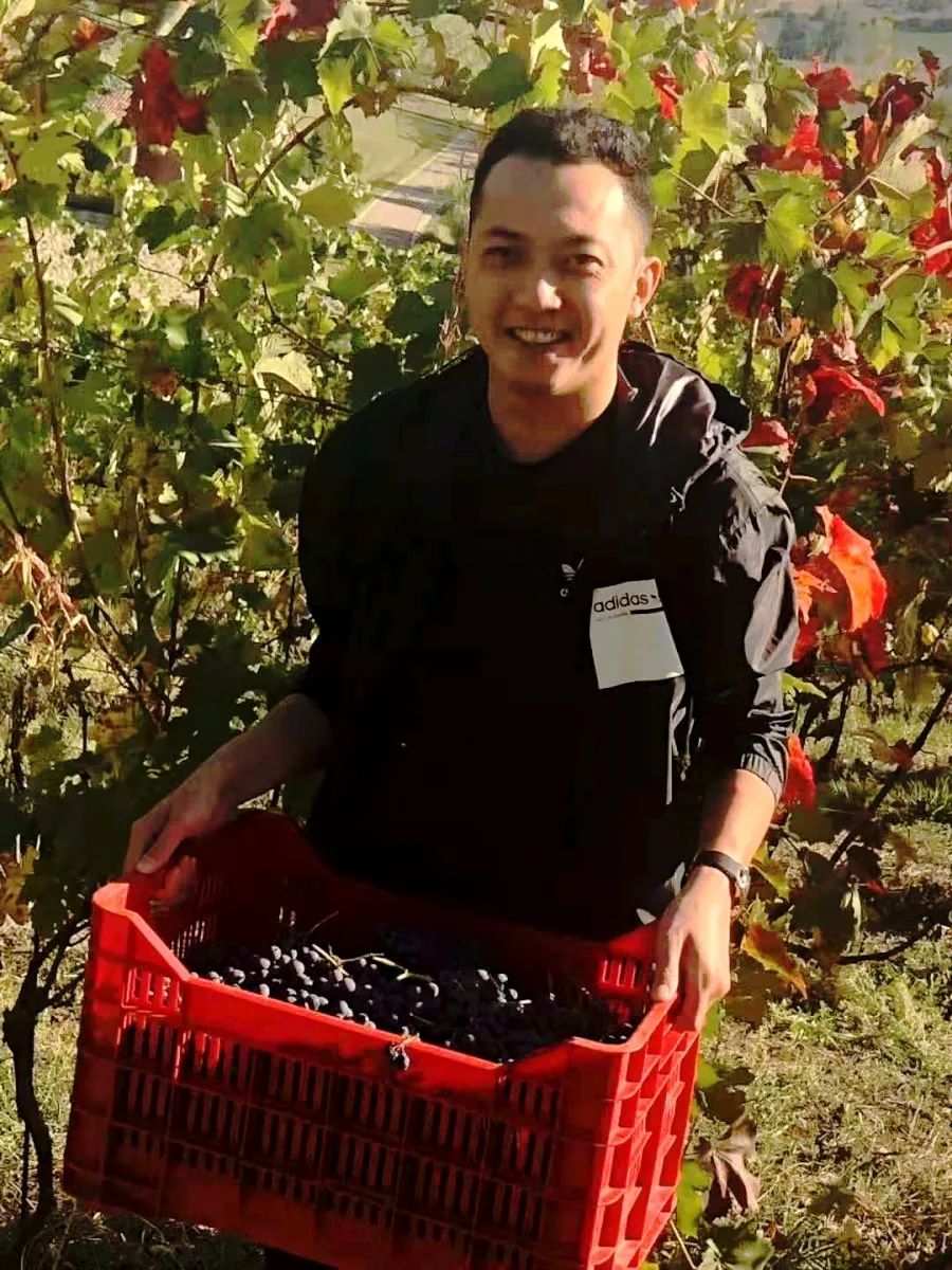 买进口年货不用去港澳人挤人！在珠海这里就能买买买！