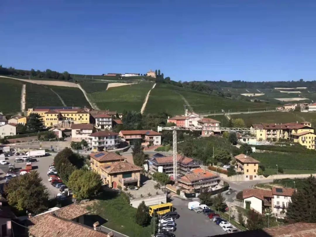 买进口年货不用去港澳人挤人!在珠海这里就能买买买!