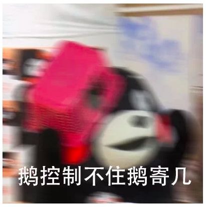 买进口年货不用去港澳人挤人!在珠海这里就能买买买!