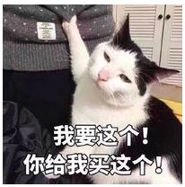 买进口年货不用去港澳人挤人!在珠海这里就能买买买!