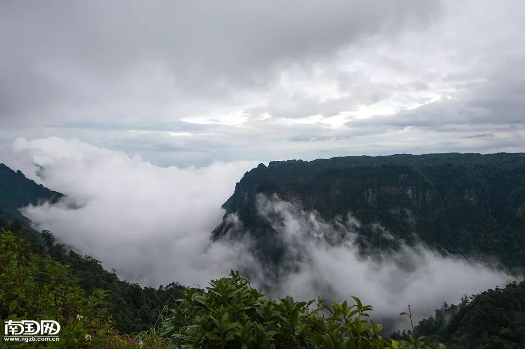 感冒咳嗽高热怎么办,高烧感冒引起的咳嗽怎么办