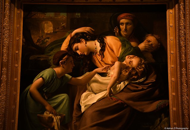 疯狂美国,疯狂美国完整视频