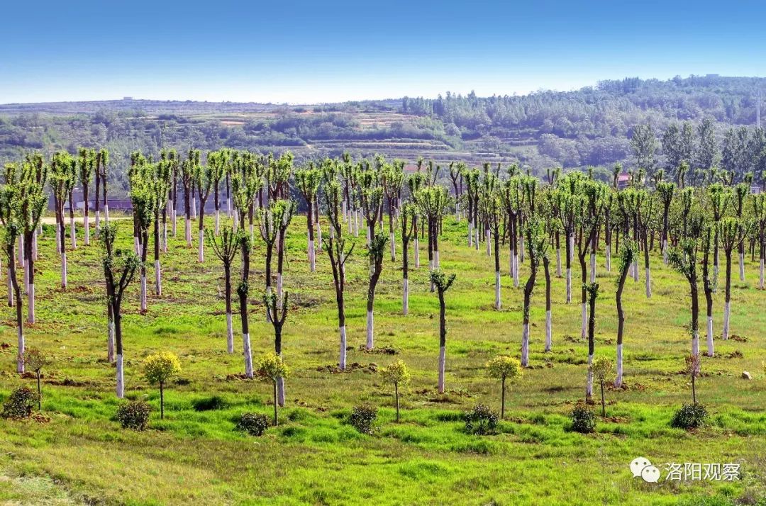 城市双修行动提升百姓生活品质,聚焦城市更新和城市建设