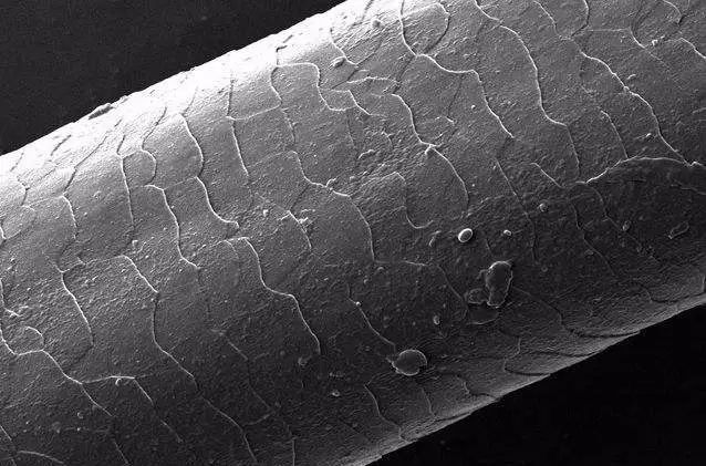 羊绒衫怎么样不掉毛,羊绒衫不掉毛是真的羊绒吗